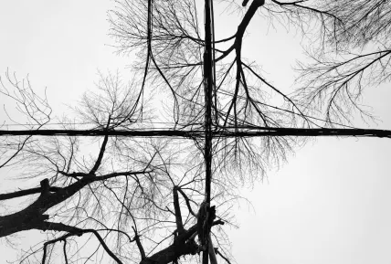 Crystal Casino Mobilapp